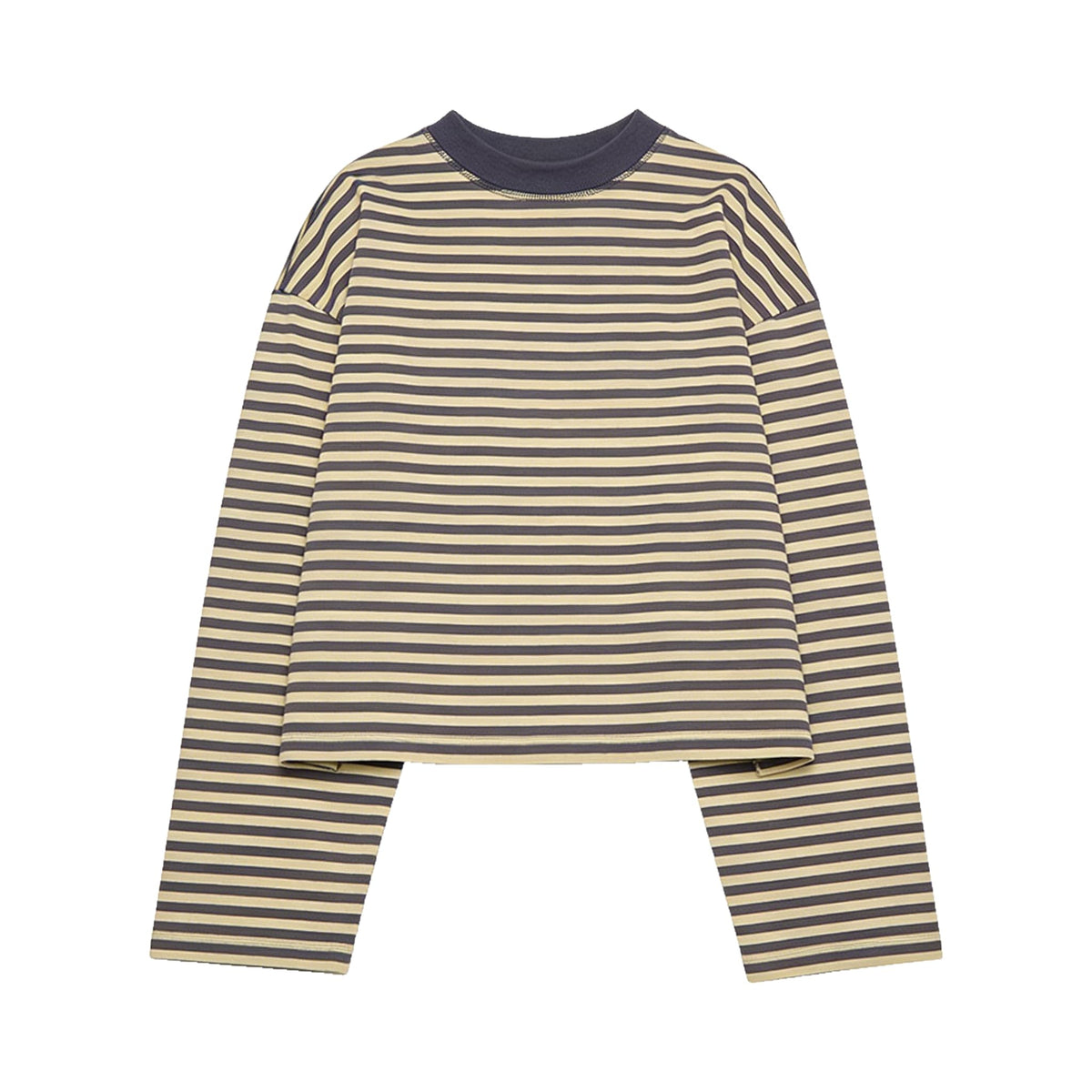 Striped Bloom Long Sleeve Shirt for Women Boxy Tee Top Streetwear
